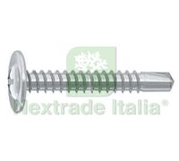 500PZ VITE AUTOPERFORANTE TMT RANELLATA CAVA PH IN ACCIAIO ZINCATO BIANCO Ø MM.: