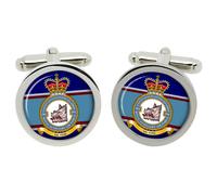 501 Squadron Rauxaf Gemelli IN Scatola