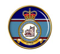 501 Squadron Rauxaf Spilla