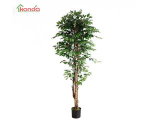 503307 Q.TA' 2 C PIANTA FICUS ARTIFICIALE 210 CM