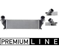 Radiatore, raffreddamento motore DENSO DRM01009