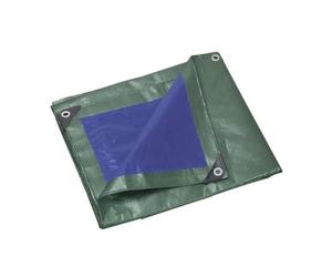 506256 Q.TA' 1 C TELO OCCHIELLATO PE VERDE/BLU 8X12M 130GR