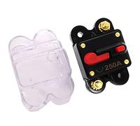 50A 60A 80A 100A 150A 200A 250A 300A 12-48V Car Audio Amplificatore Interruttore Portafusibile Amplificatore Stereo Refit Protettori di dispersione a terra (Size : 250a)