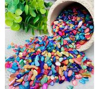 50g/100g Conchiglie colorate frantumate, forme naturali irregolari, adatte per acquari e paesaggi esterni, decorazione per acquari, giardini e piante verdi. Pietra