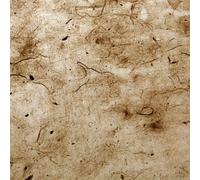 50PCS Cinese Puro Sambuco Carta Antico Metodo Fatto a Mano Calligrafia di Riso