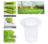 50pcs maglie scanalate colture fuori suolo di colture di ortaggi per colture a