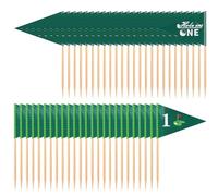 50pz Bandierine Stuzzicadenti a Tema Golf, Stuzzicadenti da Golf per il Primo Compleanno Mini Bandiere per Decorazioni per Torte con Bastoncini Bandierine da Golf Stuzzicadenti per Feste Bar(Stile 2)