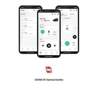 50s mesh sound by harman kardon dual Sena