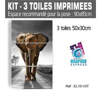 50X90CM - 3 TELE STAMPATE - QUADRO DECORATIVO DA MURO - ELEFANTE - EL10BW2-V3T