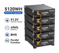 51.2V 100Ah LiFePO4 batteria al litio 48V 5.12kWh energia domestica fotovoltaica