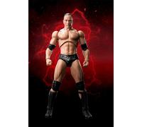 WWE SUPERSTAR SERIES The Rock S.H. Figuarts PVC Action Figure 16 cm by BANDAI