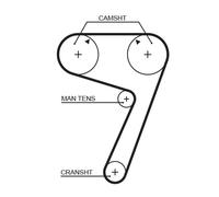 Cinghia Dentata Gates 5111 Powergrip® per Fiat Lancia Dana