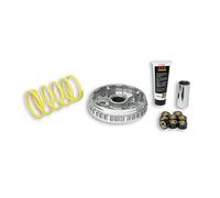 5111225 VARIATORE MALOSSI YAMAHA X MAX 250 ie 4T LC euro 3 2010 (G389E) MULTIVAR 2000