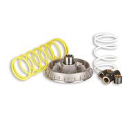 5111226 VARIATORE MALOSSI HONDA FORESIGHT 250 4T LC MULTIVAR 2000 -