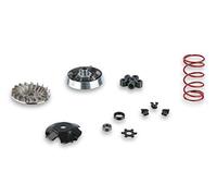 5112800 VARIATORE MALOSSI 2000 MHR PER OVERRANGE MALAGUTI F15 FIREFOX 50 2T LC