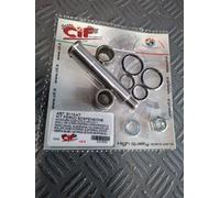 5113-KT KIT PERNO SOSPENSIONE ANTERIORE CON GABBIETTE E ORING X VESPA 50 SP.-PK