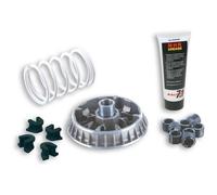 5114260 Variatore MULTIVAR 2000 | MALOSSI | MotoCharlie
