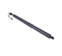51244887651 51244887652 Coppia Di Supporti A Gas Per Portellone Elettrico Per BMW X5 E70 E70 2007-2013 51244887652 51247294588 Portellone Baule Molle Supporto(R)