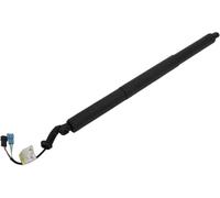 51247481807 51247481803 Ammortizzatori Portellone Posteriore Elettrico Per Portellone Posteriore Elettrico Per BMW X1 F48/F49 2018-2019 Molle Gas Portellone Posteriore(Right 51247481807)