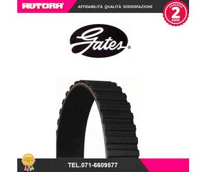 5134 Cinghia dentata (MARCA-GATES)