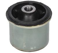 51341 BIRTH Supporto, Corpo assiale per CITROËN