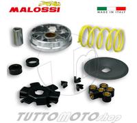 513863 MALOSSI Variatore MULTIVAR PIAGGIO SI - CIAO - GRILLO - BOSS 50