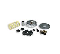 513863 VARIATORE MALOSSI PIAGGIO CICLOMOTORI MULTIVAR 2000