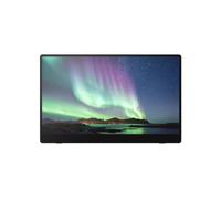 514909 Ricoh Monitor portatile 150