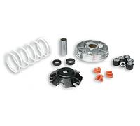 519019 VARIATORE MALOSSI MULTIVAR 2000 D.19 GILERA RUNNER SP 50 2T LC 2006- (C451M)