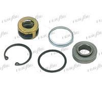 521.30107 FRIGAIR Paraolio, Albero compressore