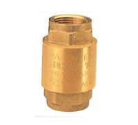 52381 Q.TA' 1 PL 100 VALVOLA RITEGNO GR.1