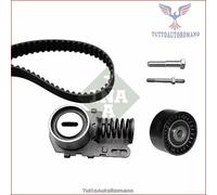 INA 530 0076 10 Kit cinghia di distribuzione