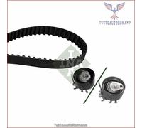 530019510 Kit distribuzione INA