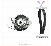 530022110 Kit distribuzione INA
