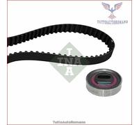 INA 530 0317 10 Kit cinghia di distribuzione
