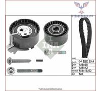 INA Kit cinghia distribuzione 530 0379 10 per Citroën e Peugeot