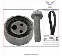 530049010 Kit distribuzione INA
