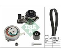 530066530 Pompa acqua + Kit cinghie dentate Schaeffler Ina
