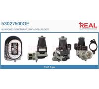 53027500OE REAL Valvola EGR per ALFA ROMEO,CITROËN,FIAT,LANCIA,OPEL,PEUGEOT