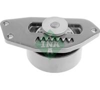 531 0553 10 INA Rullo tenditore, Cinghia Poly-V per CITROËN
