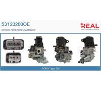 53123200OE REAL Modulo EGR per CITROËN,FORD,FORD USA,PEUGEOT