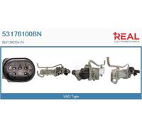 53176100BN REAL Modulo EGR per SEAT,SKODA,VW