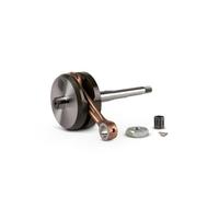 5318739 ALBERO MOTORE MALOSSI SP 10 CORSA 43 PIAGGIO CIAO BOSS BOXER SI 50 2T