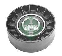 532 0062 10 INA Galoppino/Guidacinghia, Cinghia Poly-V per BMW