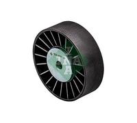 532019810 Galoppino/Guidacinghia, Cinghia Poly-V Schaeffler Ina