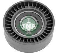 532040630 Galoppino/Guidacinghia, Cinghia Poly-V Schaeffler Ina