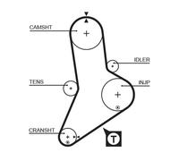 5335XS Cinghia dentata Gates