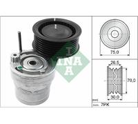 534 0603 10 INA Tendicinghia, Cinghia Poly-V per RENAULT,SMART