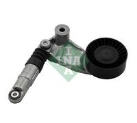 534041110 Tendicinghia, Cinghia Poly-V Schaeffler Ina