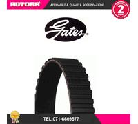 5344XS Cinghia dentata (MARCA-GATES)